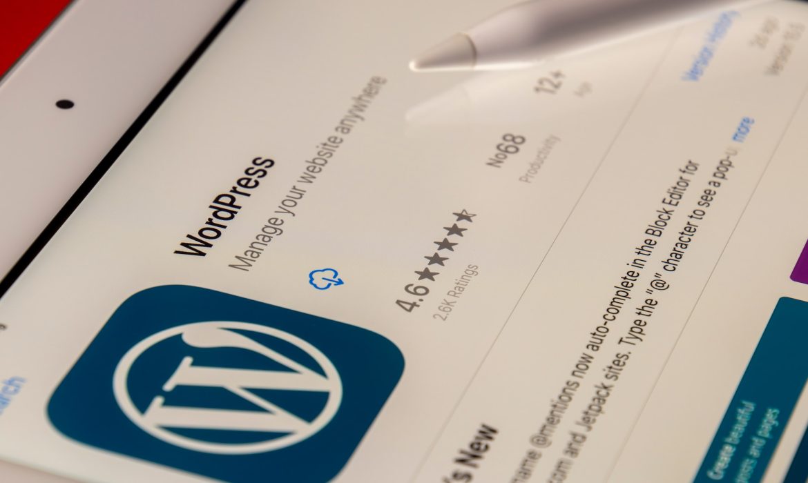 Best Wordpress SEO services in Pakistan