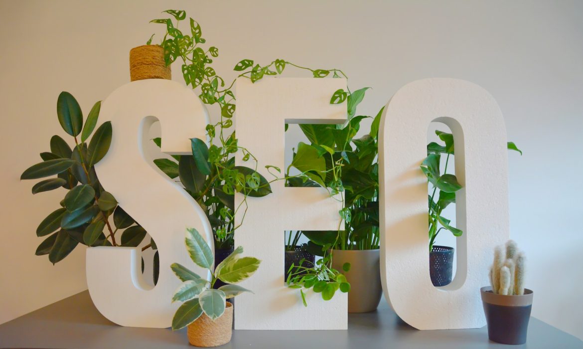 white hat SEO services: SEO letter