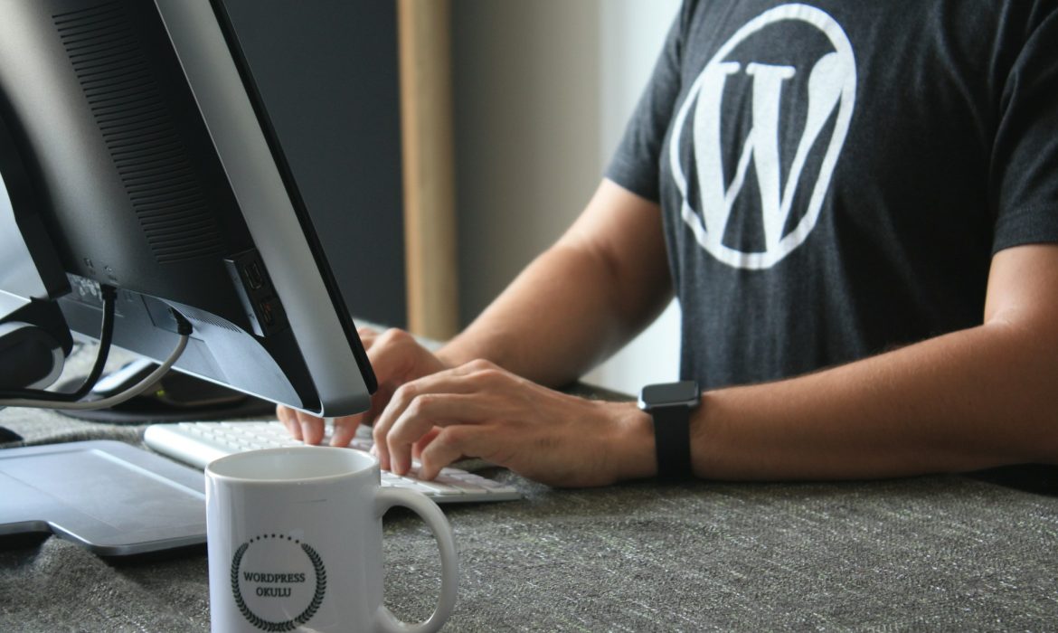 wordpress seo services in Islamabad: professional wearing wordpress tshirt