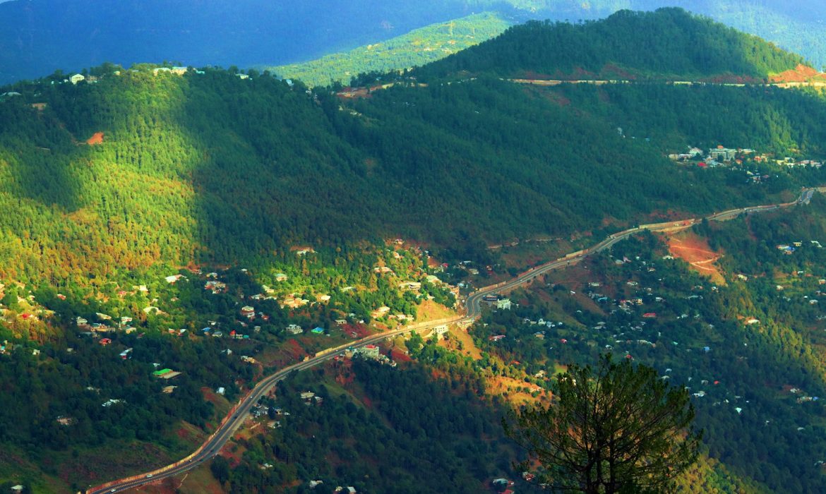 Marketing Businesses in Islamabad: aerial view of green trees and mountains during daytime