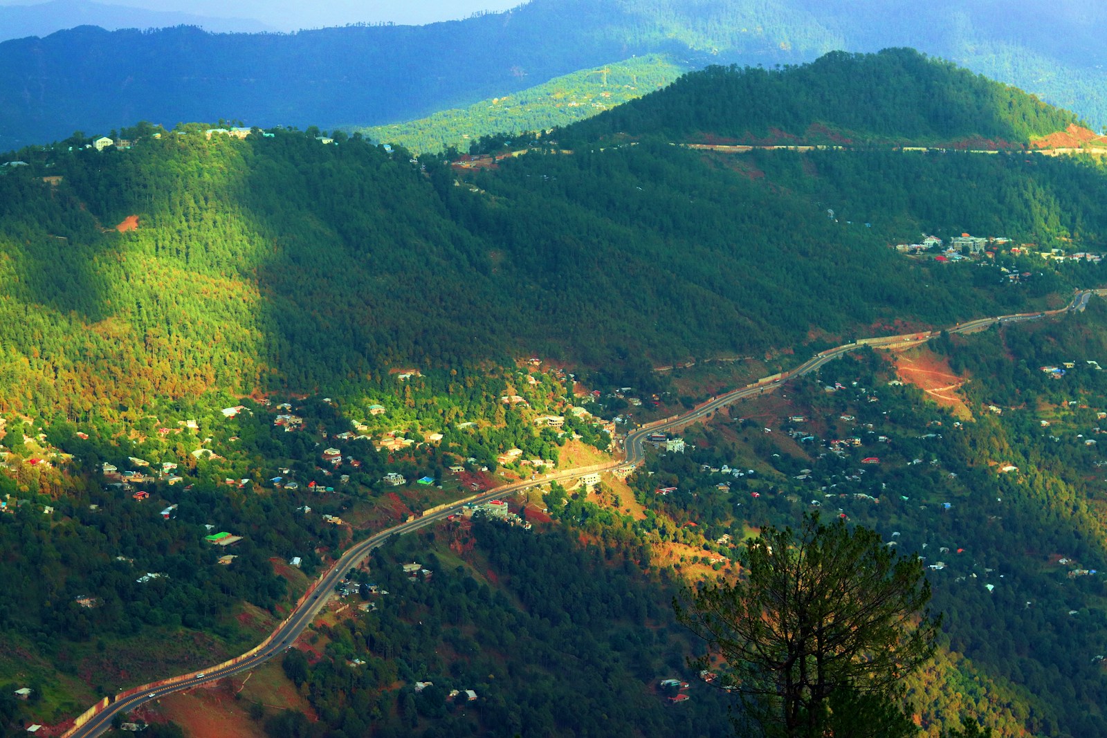 Marketing Businesses in Islamabad: aerial view of green trees and mountains during daytime